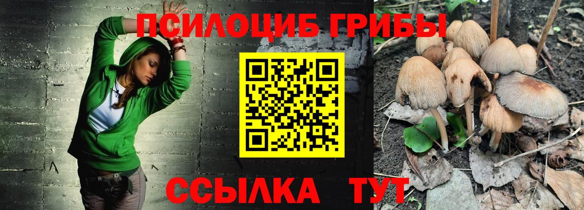 Галлюциногенные грибы ЛСД Алейск